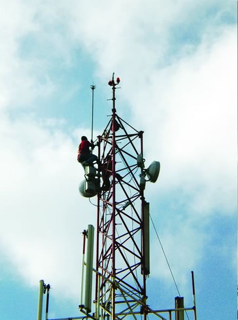 Telecom Sector